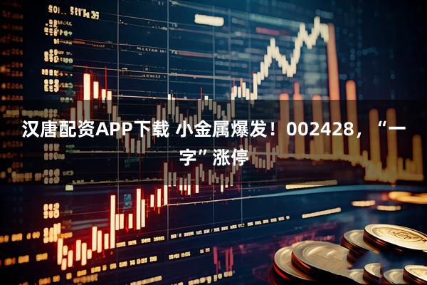 汉唐配资APP下载 小金属爆发！002428，“一字”涨停